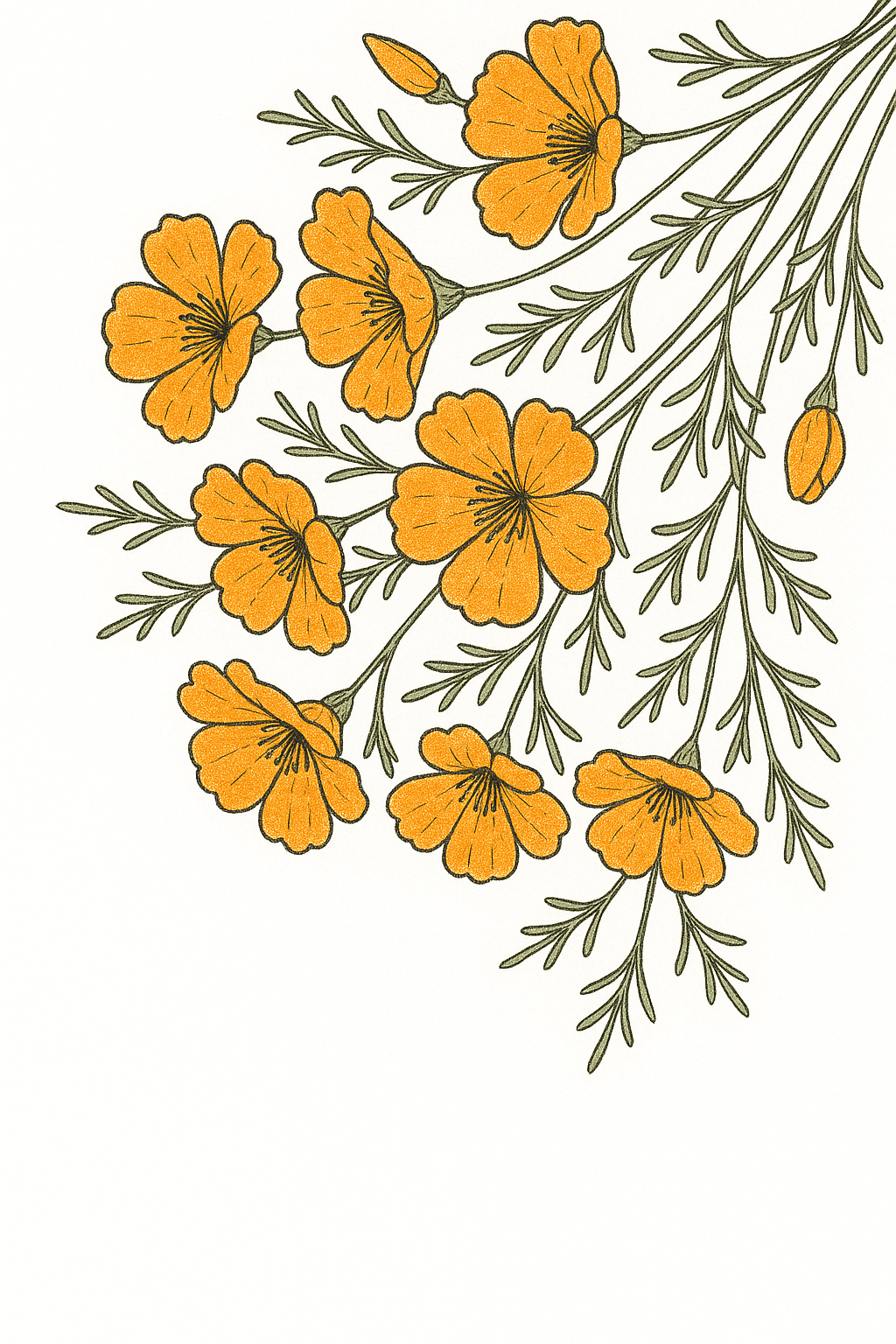 Decorative poppy